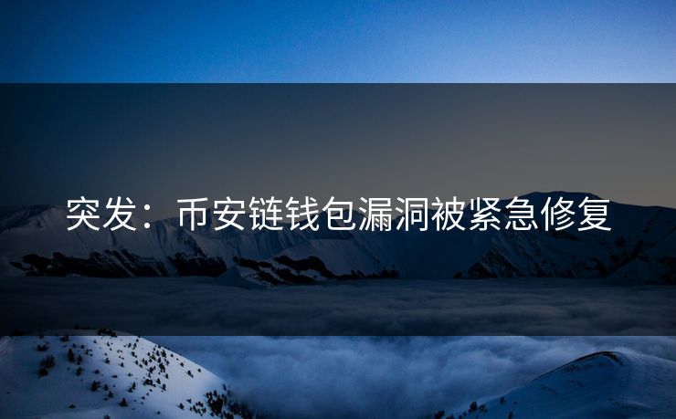 突发：币安链钱包漏洞被紧急修复