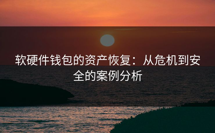 软硬件钱包的资产恢复：从危机到安全的案例分析